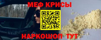 СК Кингисепп