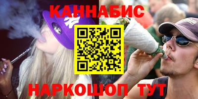 СК Кингисепп