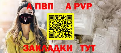СК Кингисепп