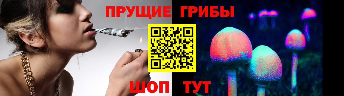 Псилоцибиновые грибы Psilocybine cubensis Узловая